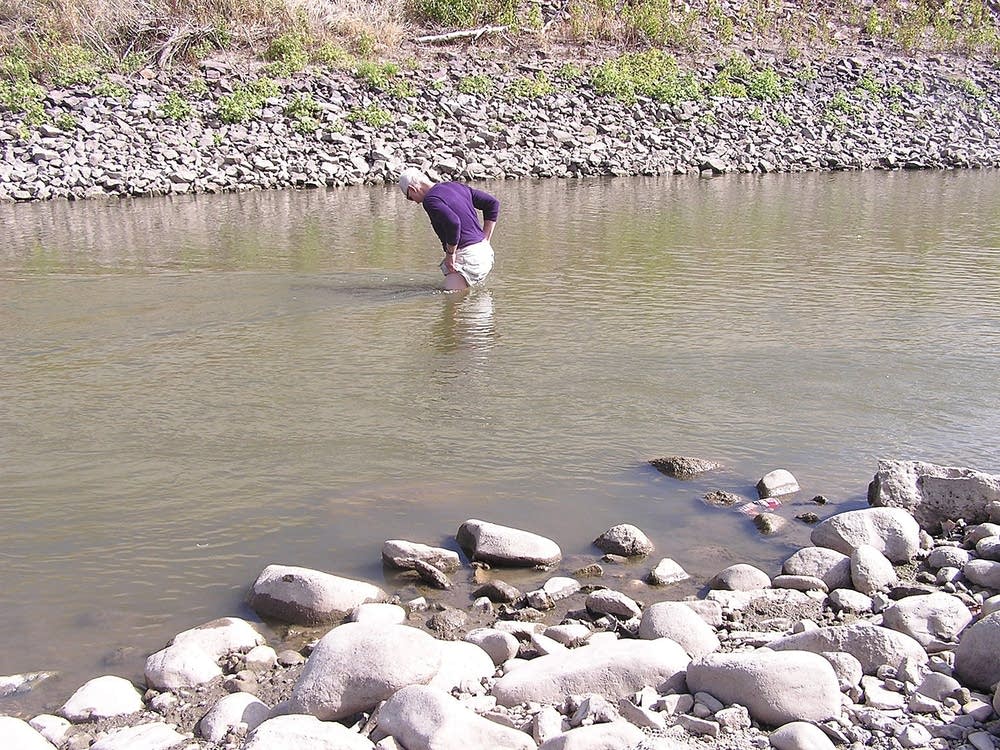 Wading in the Minnesota