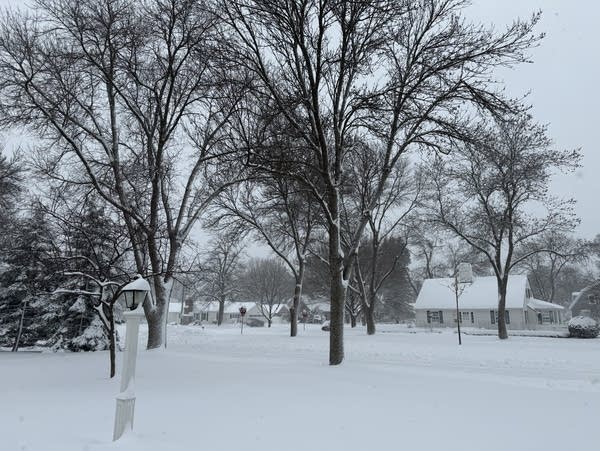 A residential street is blanketed in snow.