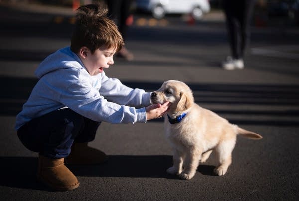 Little boy crouches next to a puppy