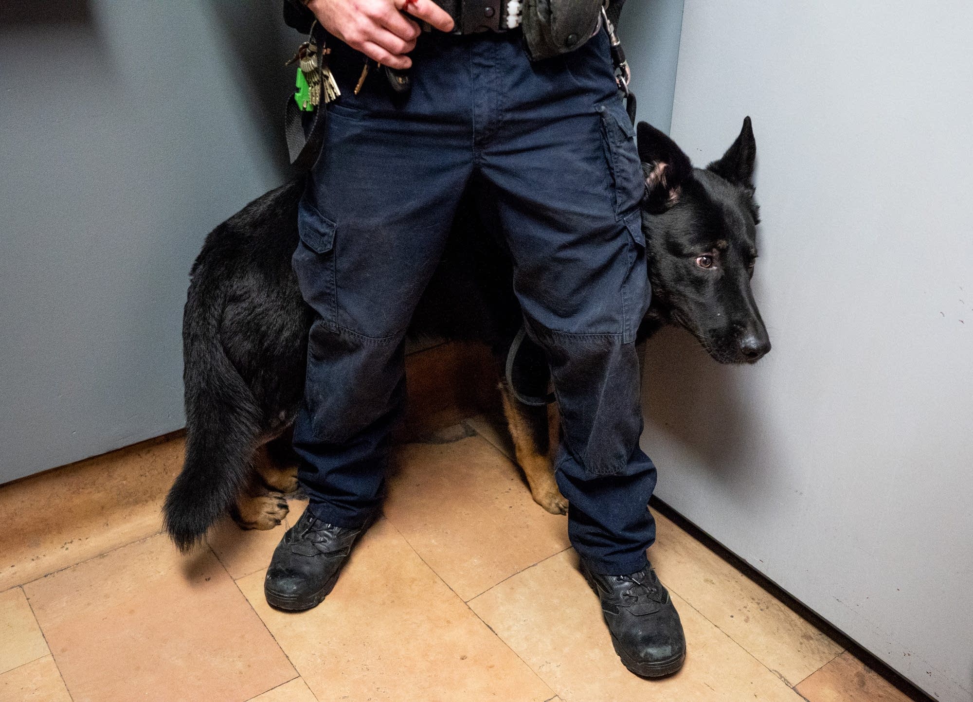 A corrections officer stands in front of a guard dog.