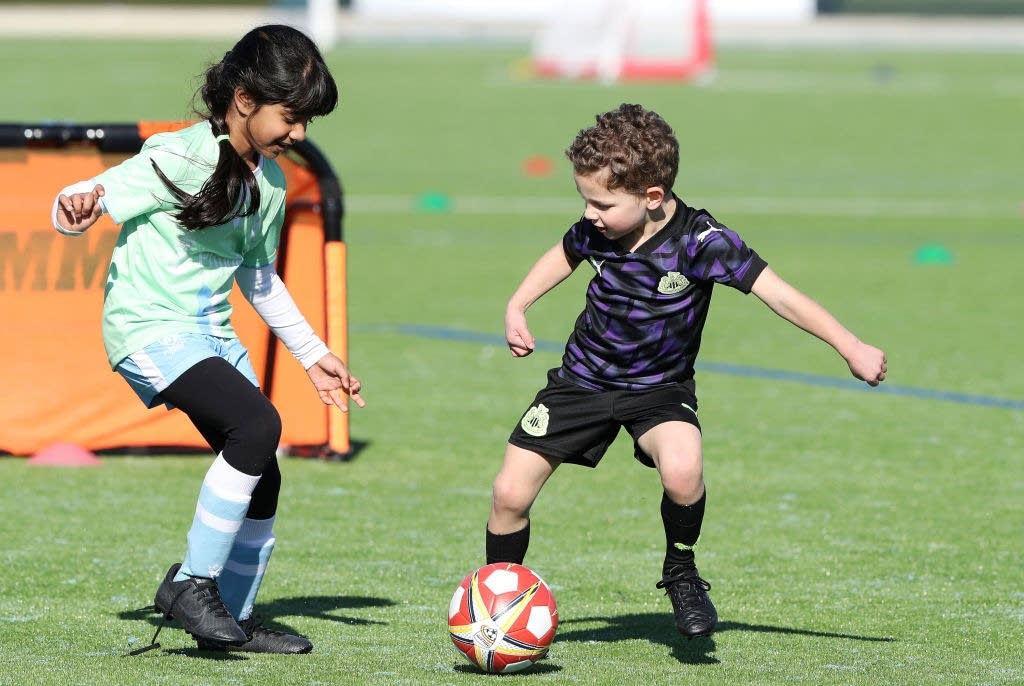 Searching the Trademark ID Manual | USPTO