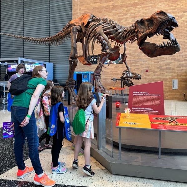 kids looking at dinosaur skeleton
