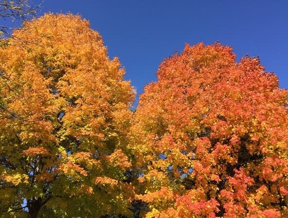 Weekend forecast: Comfortable temps; p.m. rain chance on Sunday