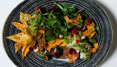 Squash Blossom Salad (Ensalada de Flor de Calabaza)