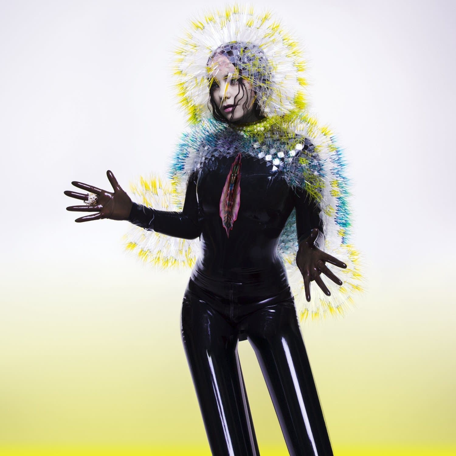 eb9ecb-20150201-bjork-vulnicura.jpg