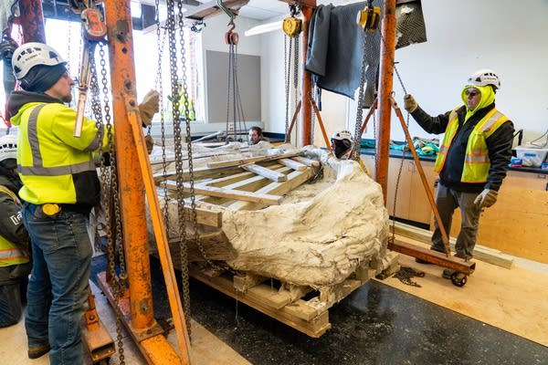 A fossil is brought in through a window