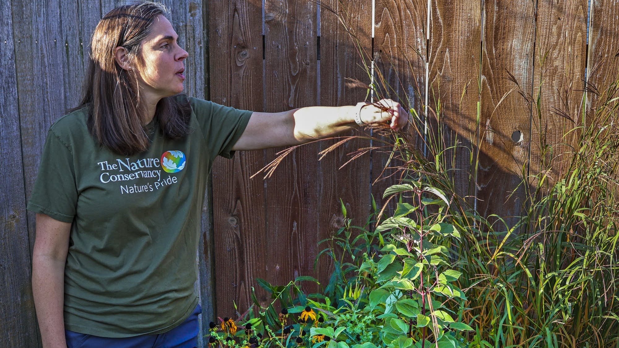 Pollinators need your help in the winter too | MPR News