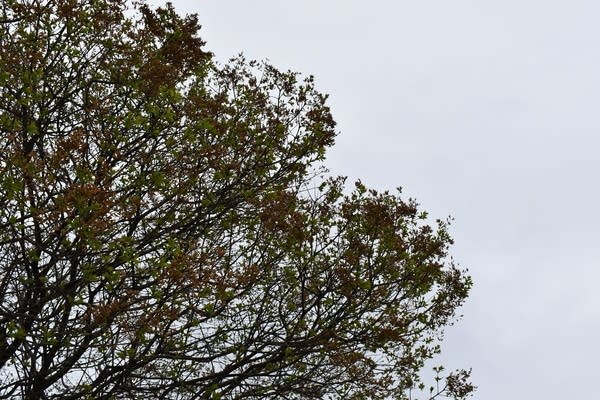 Periods of rain Saturday evening into Sunday AM; flooding update for northern Minn.