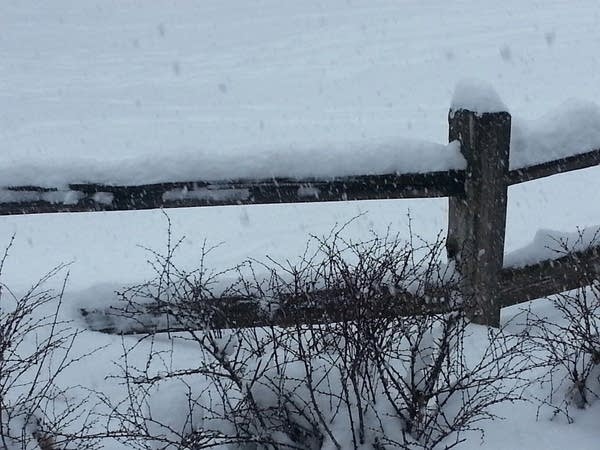 613-snow1.jpg