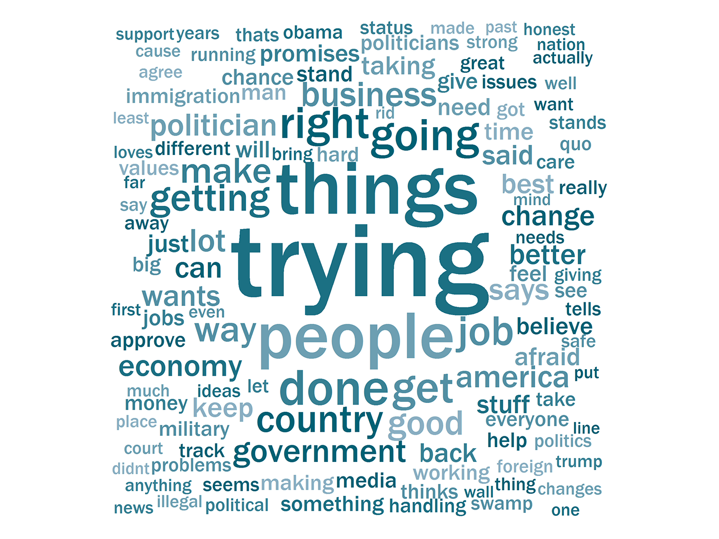 Words Minnesota Trump supporters use to describe the president.