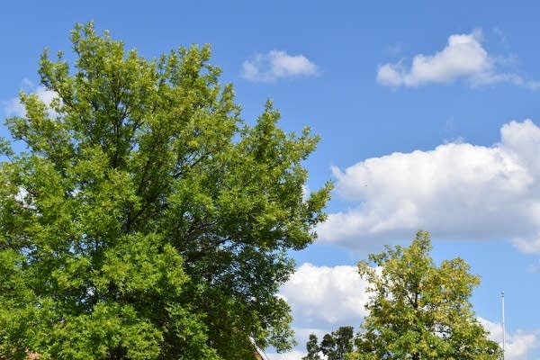 A pleasant Sunday; warmer temps by midweek