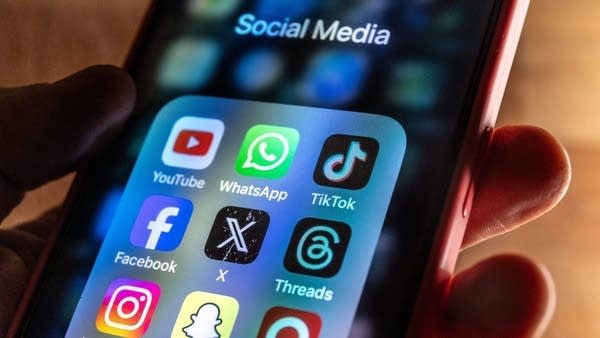 Understanding free speech in the online age