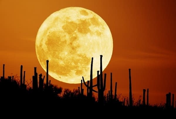 nasa harvest moon