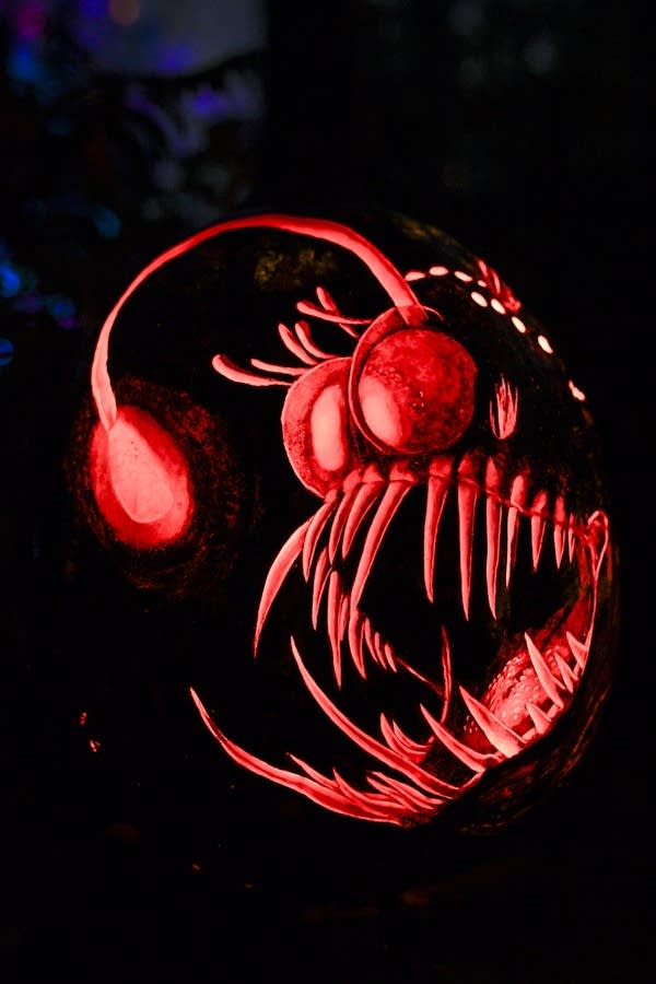 pumpkin 5 