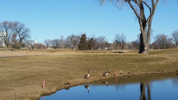 Weekend forecast: Warmer, with gusty winds
