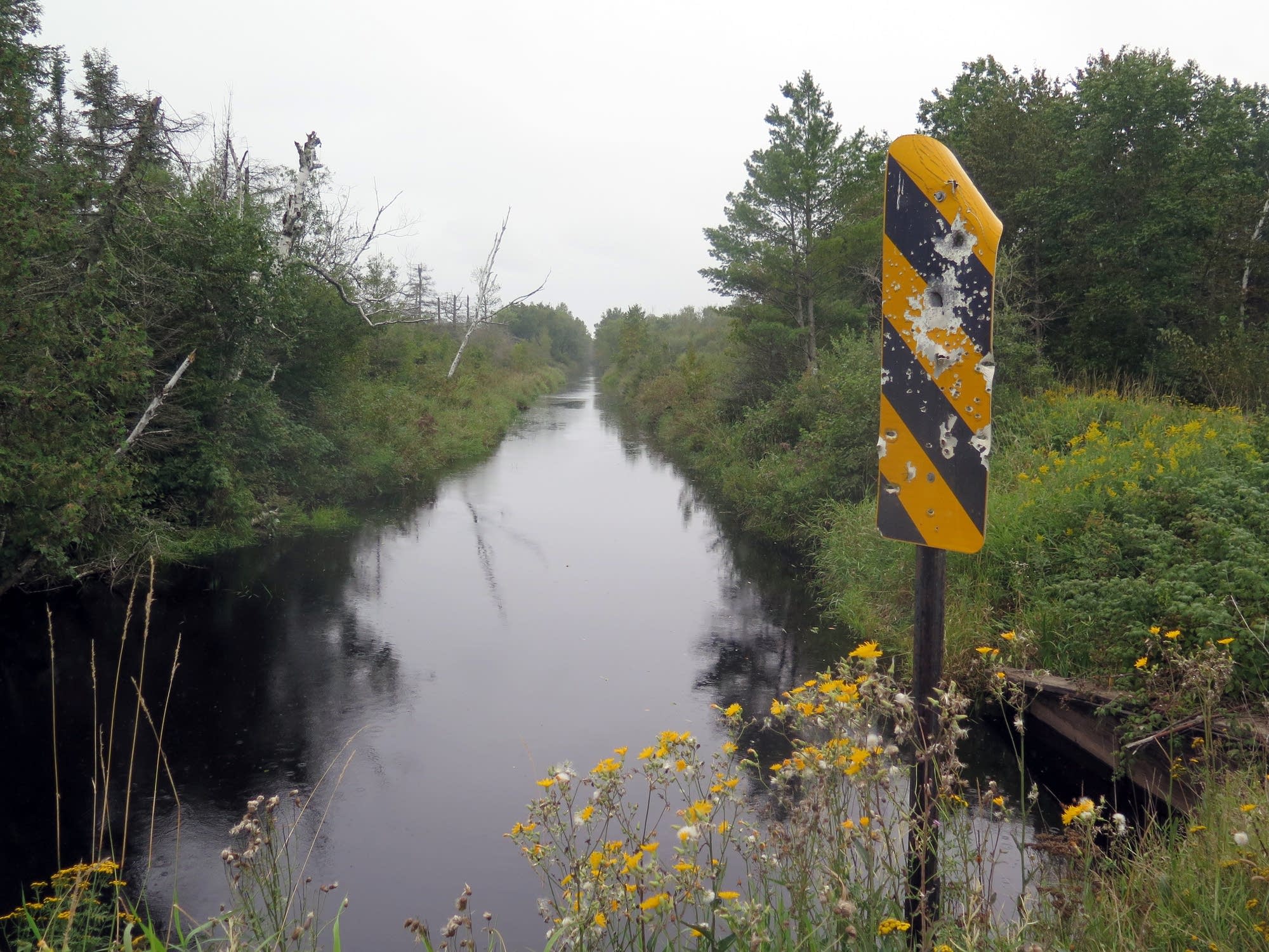 Drainage ditches dug in the 1900s degraded the area's wild rice lakes.