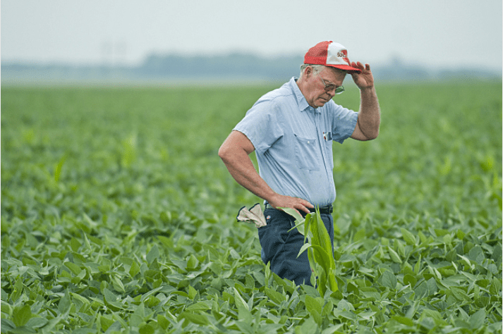farmer_2
