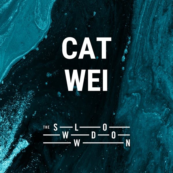20260803 Slowdown Cat Wei