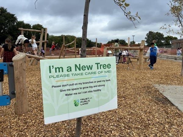 As part of Franklin Elementary's redesign, the school has planted several new shade trees that will help keep students cool on hot days.