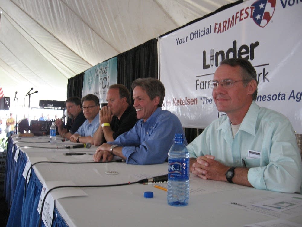 Senate candidates