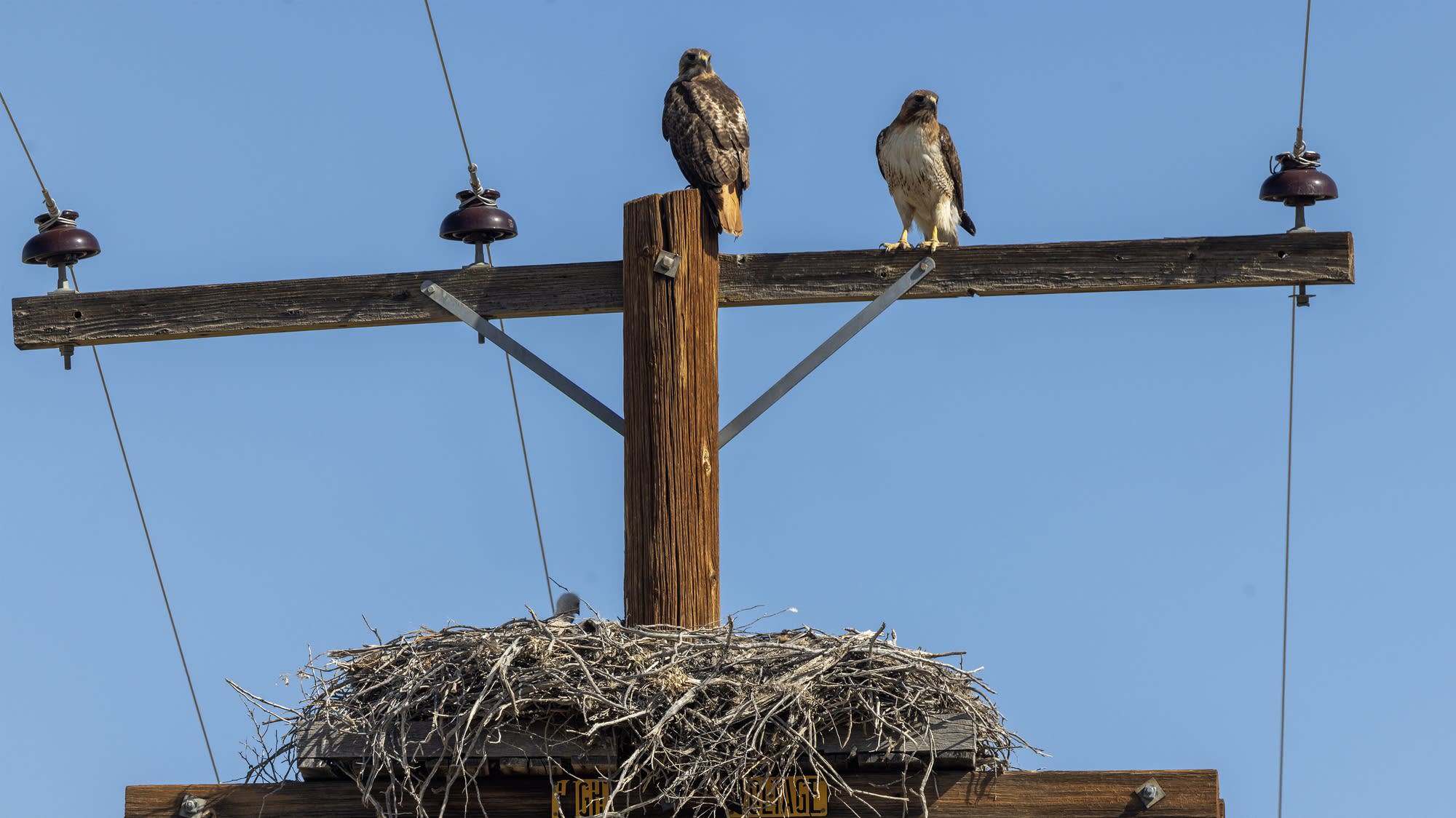 Central bankers around the world are looking more hawkish