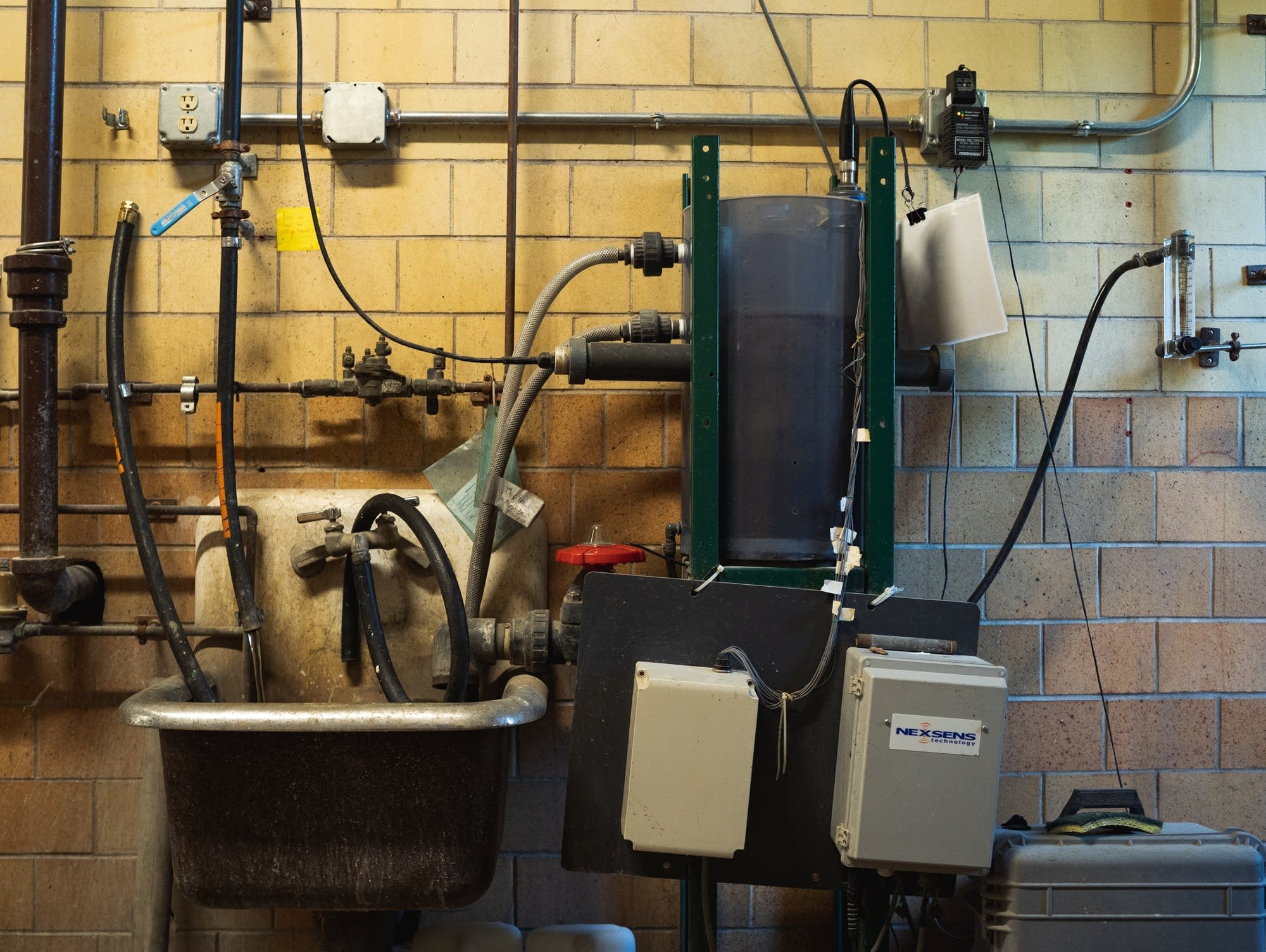 Minnesota's native mussels: Still in peril, but signs of hope | MPR News