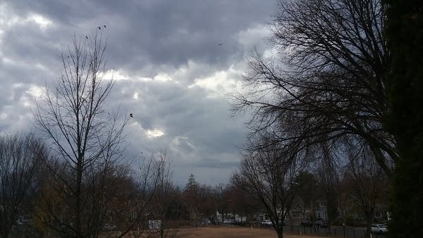 Light snow Monday; Chilly all week