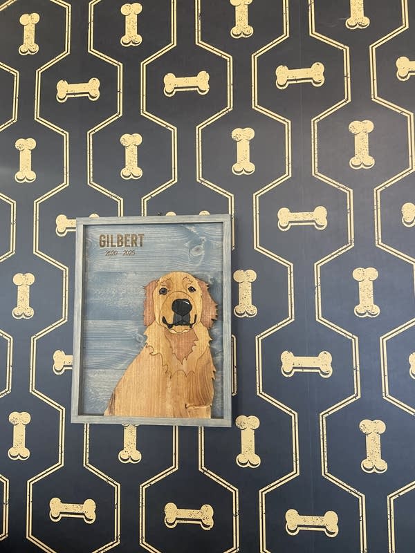 A portrait of a dog