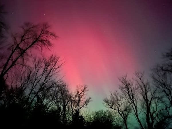 Red lights with a hint of green near the horizon. Trees cast shadows around the view.