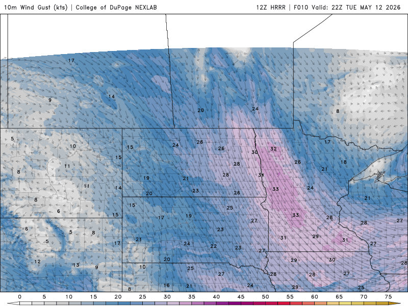 winds 117