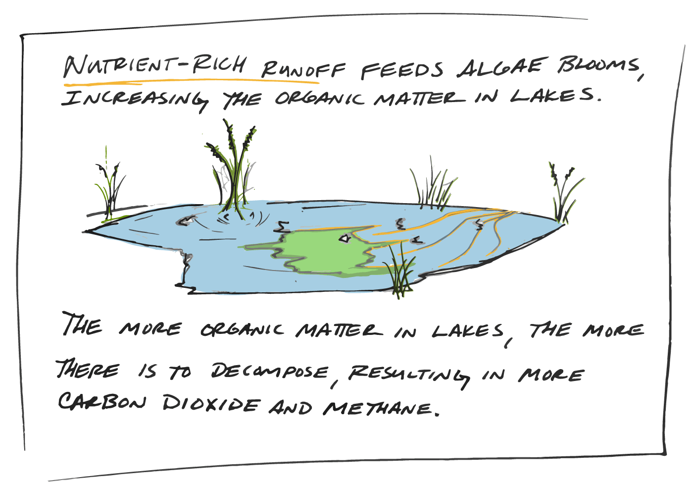 Natural and human-produced runoff feeds growth in lakes