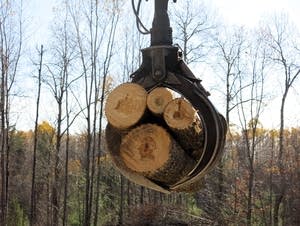 A claw picks up cut logs.
