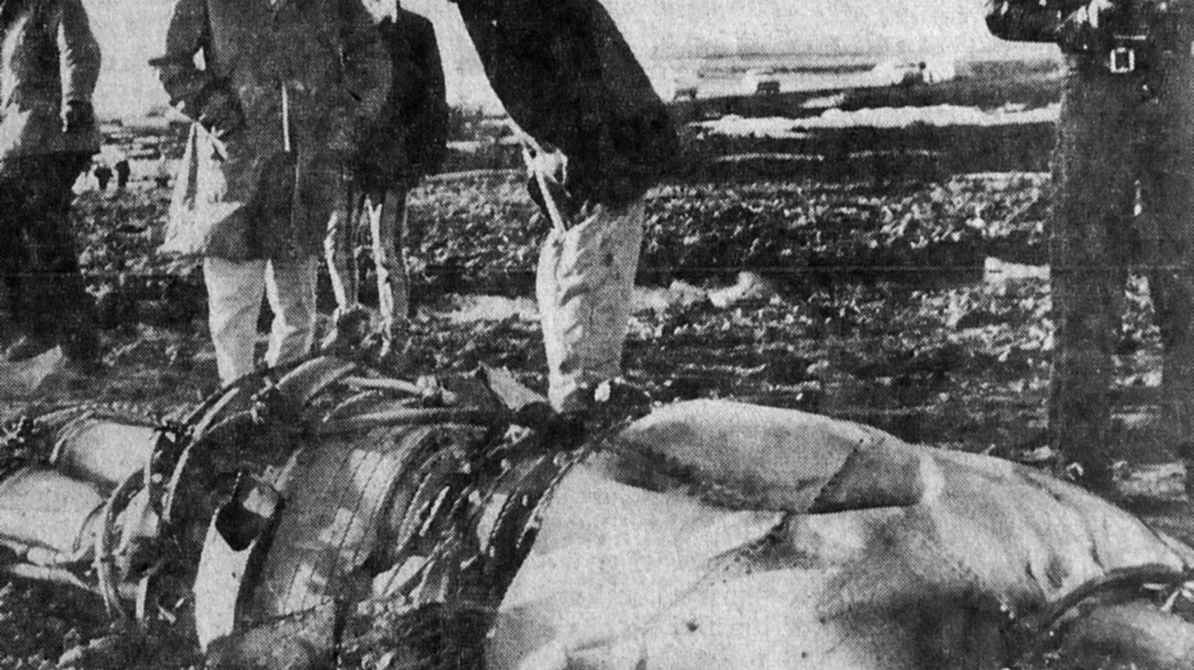 Deadly Air Force crash in SW Minnesota remembered MPR News