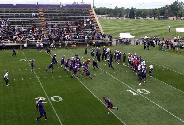 Training Camp  Minnesota Vikings 