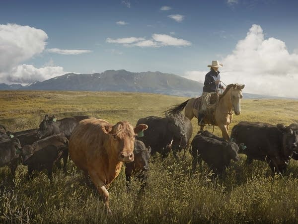  An exploration of women at work