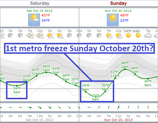569 frz