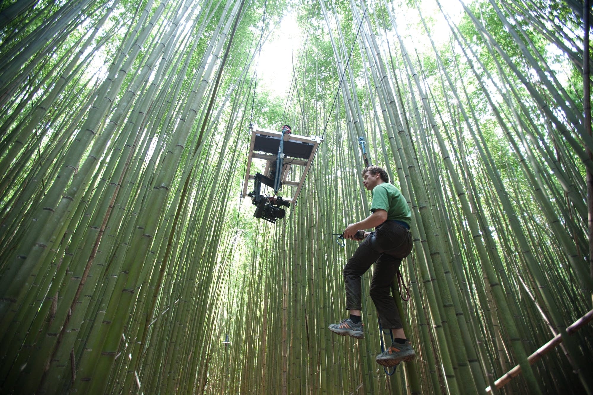 Bryan Smith and camera platform suspended from trees.