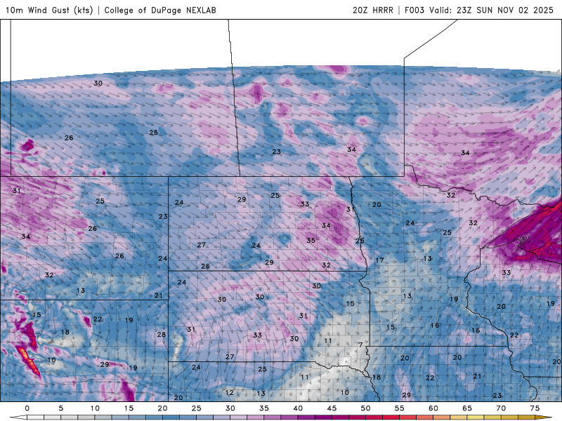 Mild week in store as winds continue into Monday