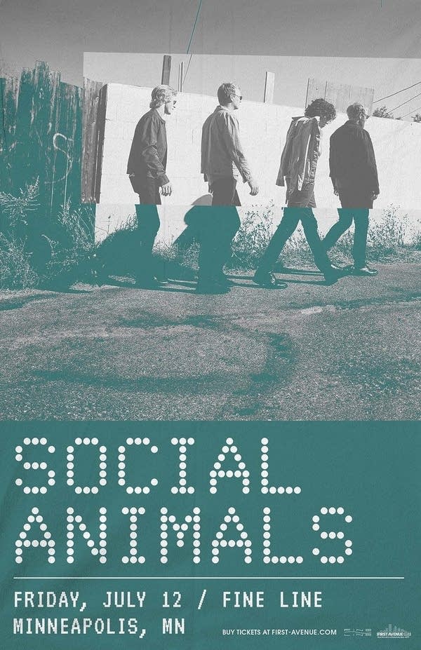 Social Animals