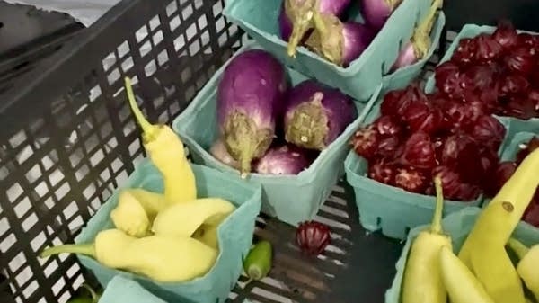 Without USDA funding, many food banks can't afford to buy produce from small-scale, local farmers.