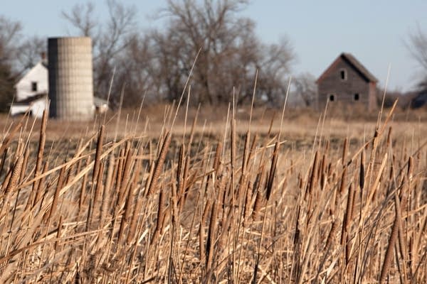 Traverse farmland