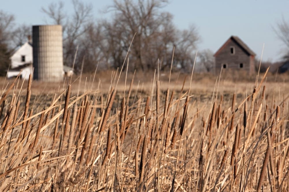 Traverse farmland