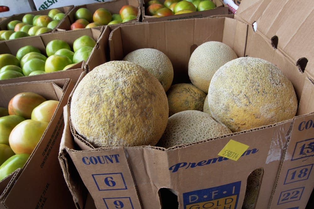 Cantaloupe