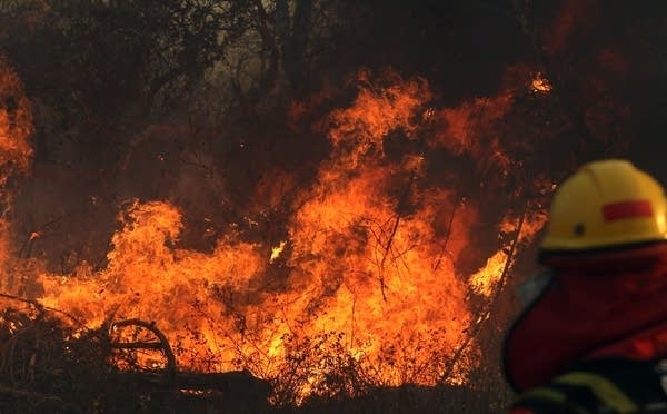 A firefighter works during a wildfire near in Bolivia