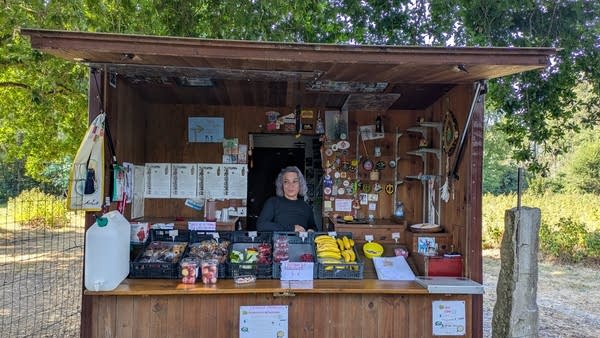 A woman with gray hair stands behind the counter at an outdoor fruit stand