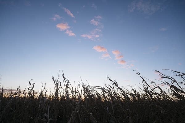 Coffee Break: Light and dark