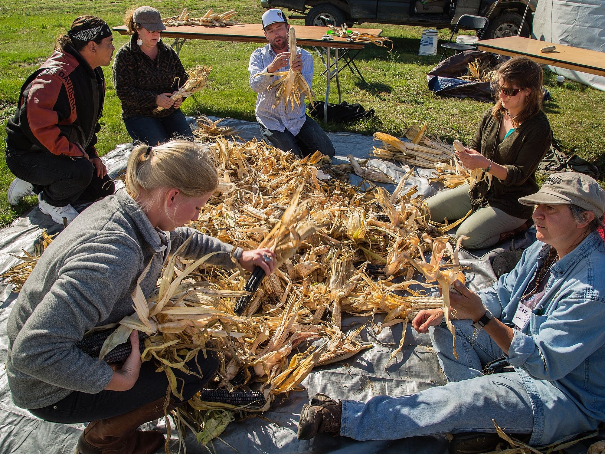 Workshop on selecting heirloom corn for seed.