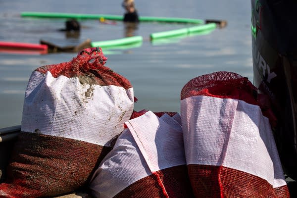 Bags of invasive plants