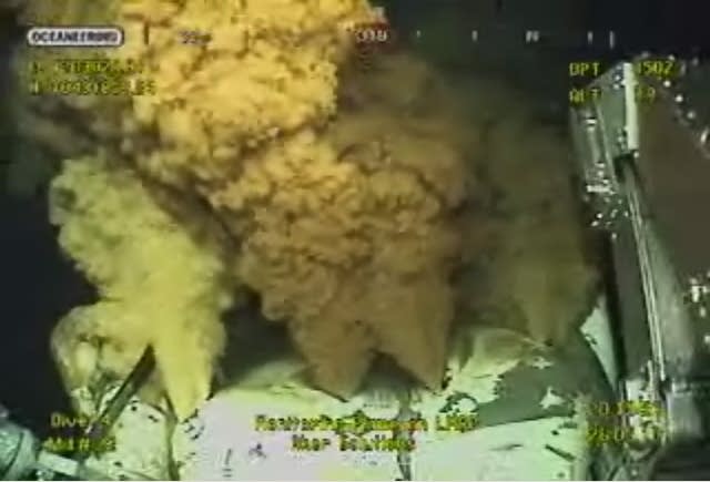 Gulf Oil Spill