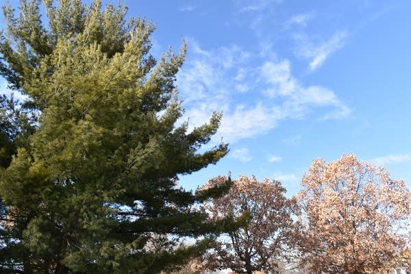 No big snowstorms in sight; Thursday will be warmest day this week